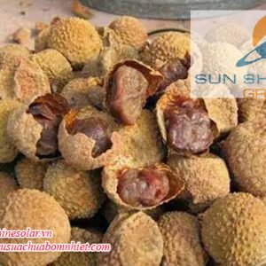 Máy sấy lạnh bơm nhiệt thổi trên