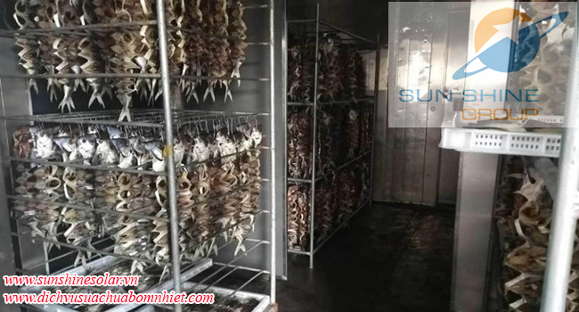 máy sấy lạnh bơm nhiệt máy sấy lạnh bơm nhiệt